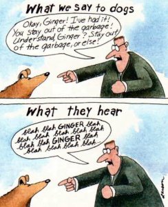 Far Side Dog Understanding.jpg