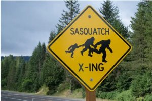 sasquatch.JPG