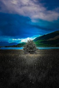 blue T.jpg