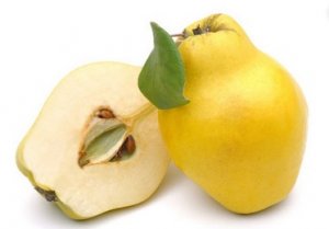 quince.jpg