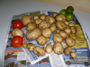 potatoes (800x600).jpg