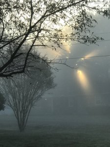 6ED1CF50-8F58-4433-AB89-CE8934DA6BE1.jpeg