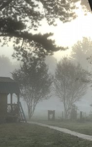 5B3ECBB1-65D6-47E4-B875-06339D68412D.jpeg