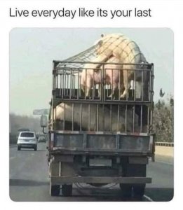 thumbnail_photo.jpg