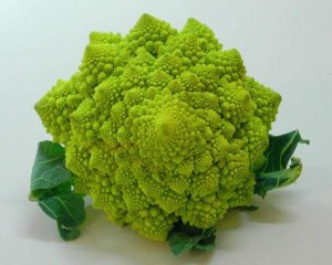 69879303_2590451834338764_3715967913081962496_n.jpg