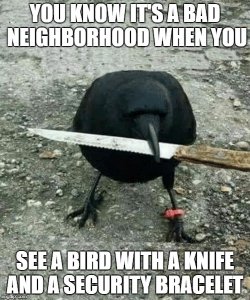 bad-neighborhood-meme.jpg