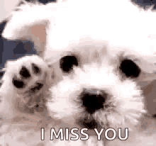 7D65A14E-3044-42EC-9E62-A5FB32D041A8.gif