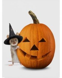 trademark-art-halloween-mouse-graphic-art-print-on-wrapped-canvas-ali36900-cgg-size-19-h-x-14...jpeg