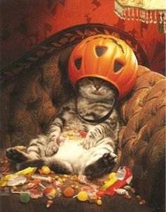 hween funny 1.jpg