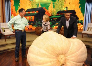 very large pumpkins some not so cute 4.jpg