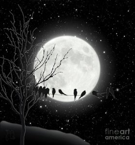 moon-bath-birds-on-a-wire-gather-by-a-harvest-moon-tina-lavoie.jpg