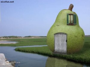 unbelievable_houses_15.jpg