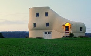 unusual1.jpg