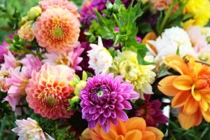 spring flowers.jpg