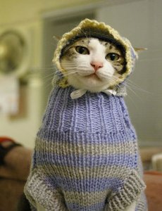 Overdressed @.jpg