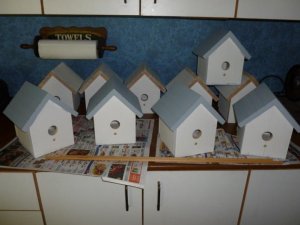 small unfinished bird houses.jpg