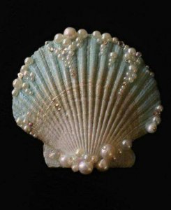 shell.jpg