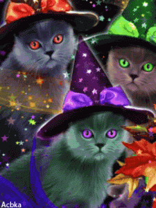 cats.gif