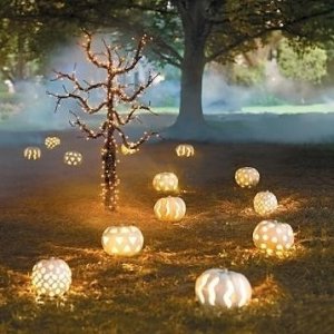 37175-Pretty-Halloween-Lights.jpg