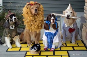 DogSnobsHalloween.jpg