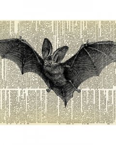 flying-bat-animal-with-wings-halloween-dictionary-art-print-black.jpeg