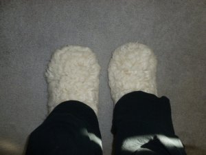 slippers (1024x768).jpg