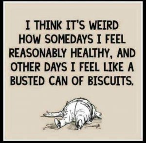 biskits.jpg