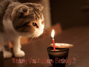 2-Funny-Happy-Birthday-Gif.gif
