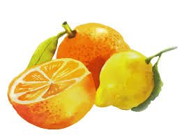 lemonandorange.jpg