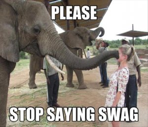 Funny  Elephants 2.jpg