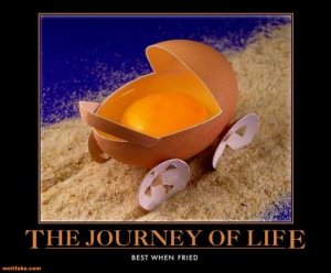 the-journey-life-best-when-fried-demotivational-posters-1351794770.jpg