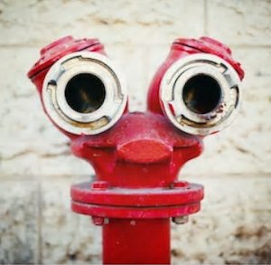 Faces Hydrant @.jpg