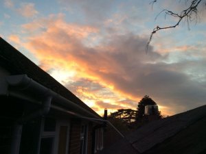 56D9F274-61CD-47D4-9B8D-B843467FEB0F.jpeg