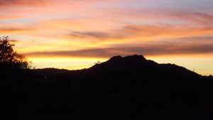 DSC01524.JPG