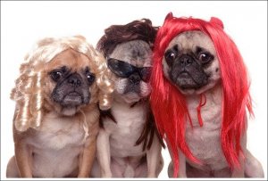 Wigs.jpg