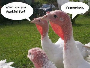 funny-thanksgiving-vegetarian-way-2.jpg