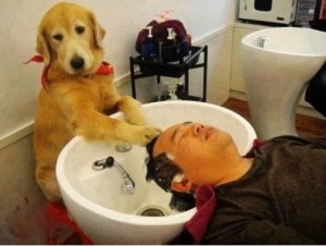Hair Salon.jpg