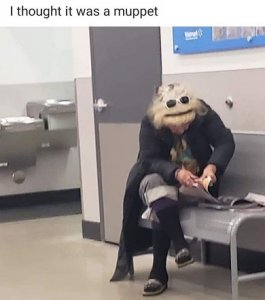 75242028_2408804719364115_1814579341317636096_o.jpg