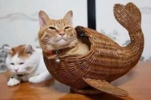 fish basket.jpg