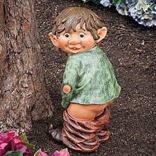 garden.jpeg