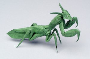 oragami.jpg