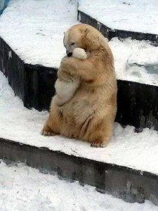hugbear.jpg