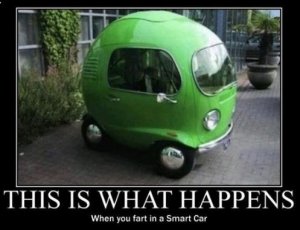 Smart4.JPG