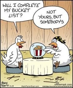 chicken (1).jpg