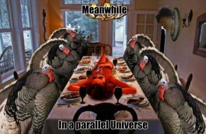 thanksgiving-memes-funny.jpg