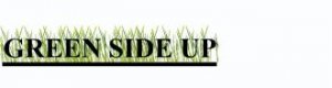 Green Side up!.jpg