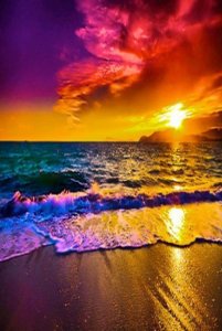 sunset1.jpg