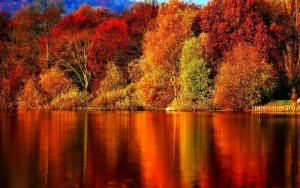 falltime4.jpg