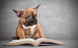 Reading Book.jpg