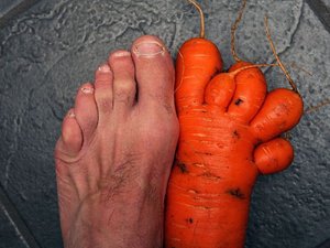 carrot.jpg
